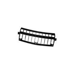 Radiator grill lower