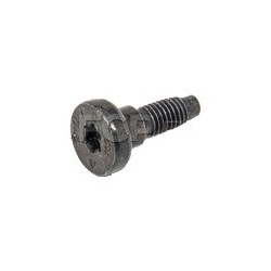 Screw, Engine cover petrol engines