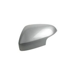 Afdekking buitenspiegel links