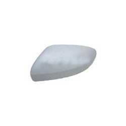 Afdekking buitenspiegel links