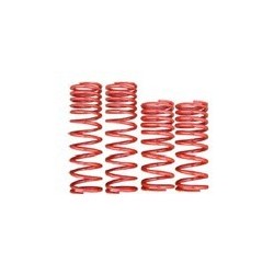 Lowering kit progressive 30 mm