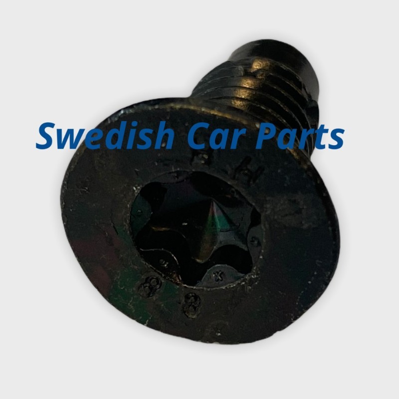 Schroef slotvanger achterklep (Torx)