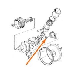 Pilot bearing, Clutch