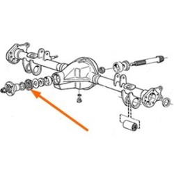 Radial oil seal, Differential