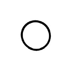 Seal ring, Injector upper