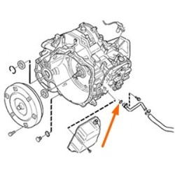 Seal ring Oil cooler - Oil pipe