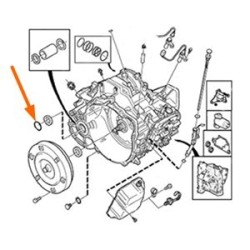 Oil seal, Automatic transmission