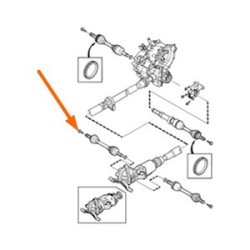 Bolt, Drive shaft M10