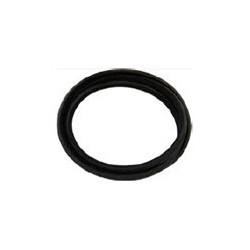 Afdichting achterruit PV444