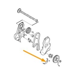 Cover, Timing belt lower