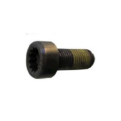 Flywheel bolt