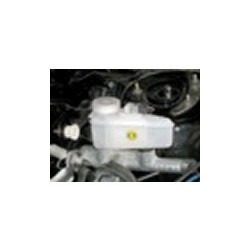 Expansion tank, Brake fluid