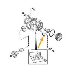 Screw Plug, axle drive