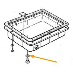 Seal ring, Oil drain plug AW70/71 BW55 