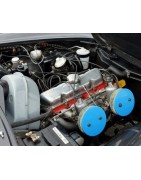 Motoronderdelen VOLVO P1800