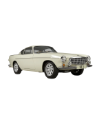 Type P1800 en P1800ES