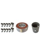 Bearings VOLVO 242
