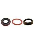 Oil Seals VOLVO 245