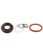 Oil Seals