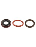 Oil Seals