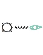 Pakkingen uitlaatsysteem 