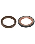 Oil Seals