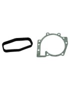Seals VOLVO V50