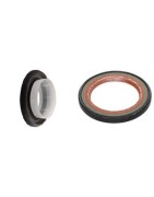 Oil Seals 