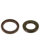 Oil Seals 