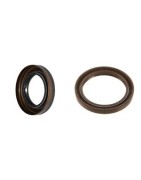 Oil Seals 